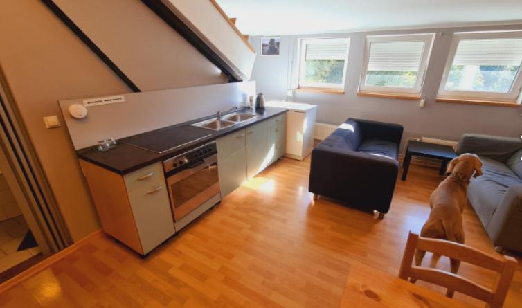 Apartment Tematicke Doupe